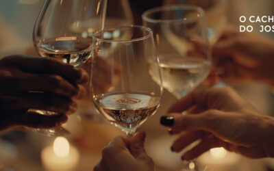 Group dinners in central Madrid with organic meat